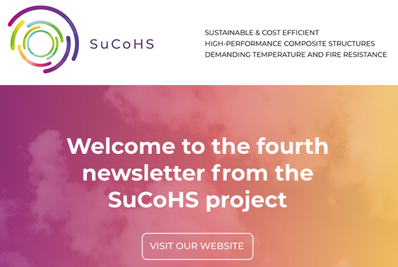 Cover page of the SuCoHS newsletter No 4